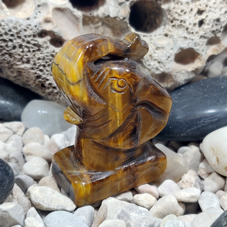 Tiger's Eye Lucky Elephant