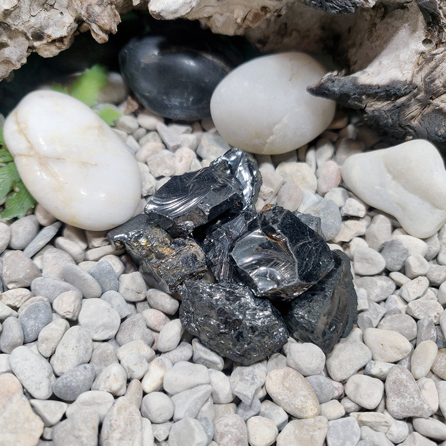 Small Elite Shungite Stone