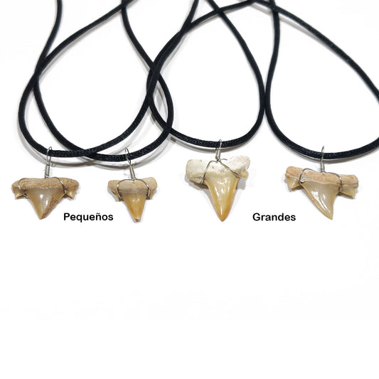 Colgante diente de Tiburón