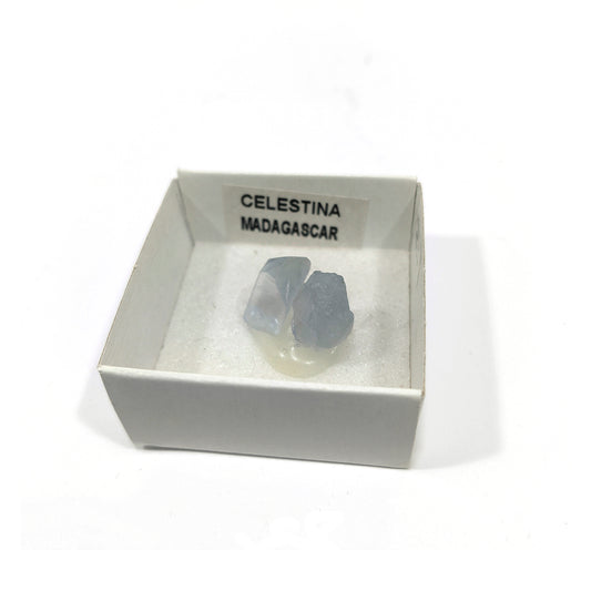 Celestina