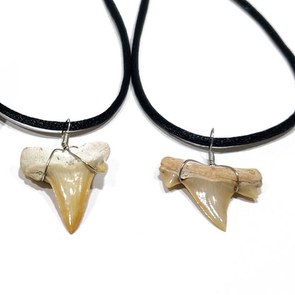 Shark Tooth Pendant