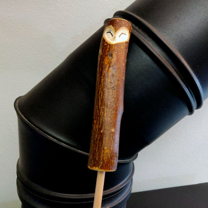 Owl magic wand