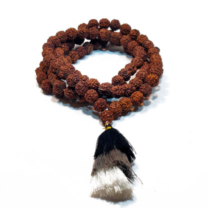 Japa Mala de Rudraksha